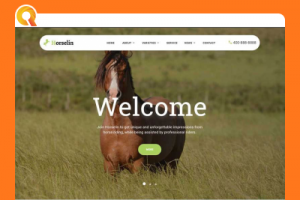 自适应马匹饲养养殖场养马场畜牧业平台代码 织梦dedecms范例 响应式手机端