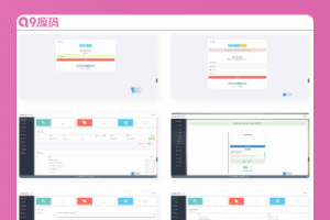 升级版授权系统/盗版追踪/域名IP双授权/在线加密系统