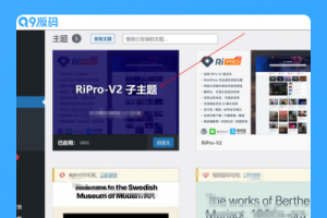 2022最新RiPro/V2子主题美化包源码