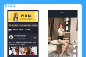 wordpress图片主题 最新仿抖音模式套图SEO源码