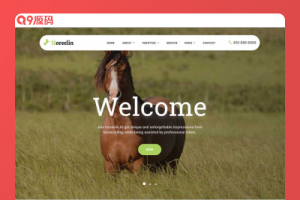 (自适应手机端)马匹饲养养殖场网站源码 养马场畜牧业英文网站pbootcms模板