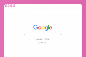 网页小型在线科学上网代理/PHP源码全开源版本