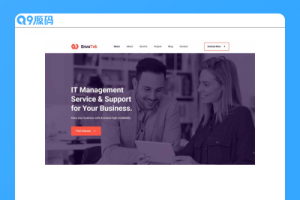 IT软件解决方案公司网页模板