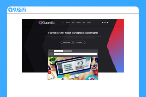 软件开发设计服务公司网站模板