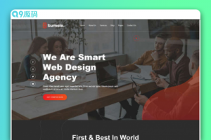 web软件应用开发公司官网html5模板