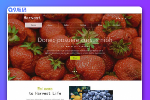 有机蔬菜水果农产品网站html网页模板