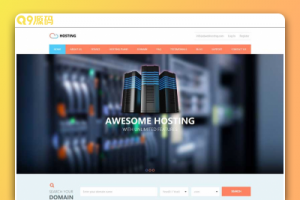 外国商务服务器IDC运营商网站html网站托管服务企业模板