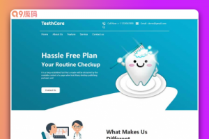 卡通扁平风牙齿保健网站模板