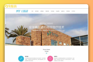 (自适应手机端)海外就医网站源码 医疗试管婴儿网站pbootcms模板