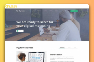 数字营销服务企业响应式html5软件应用单页网页模板