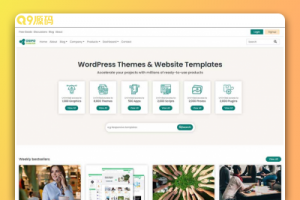 国外虚拟素材下载类网站模板 html下载网站模板