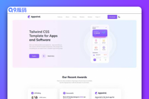 APP开发网站源码_软件公司网站模板代码