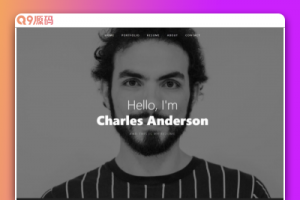 个人设计师作品展示简历网页模板