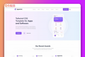 APP开发软件设计CSS网站模板