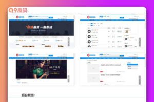VK维客众筹网整站源码 手机端众筹网站系统源码