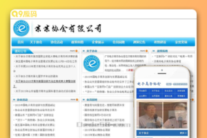 协会资讯类网站源码 dedecms织梦模板 (带手机端)