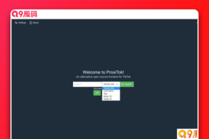 支持国内直连国际版抖音TikTok的简易程序 ProxiTok