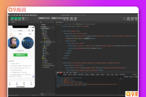 王者荣耀战力查询空白名生成小程序源码