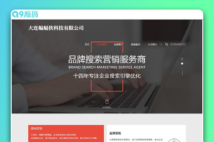 简洁大气且好看的排名seo官网网站源码  html源码