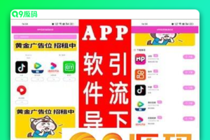 APP软件应用导航网站源码（内置后台）