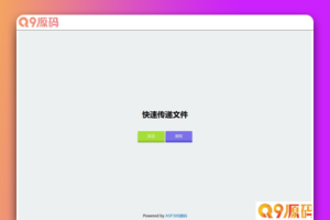 仿奶牛快传 匿名文件分享系统源码