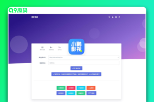 VIP视频解析网站源码 支持本地使用