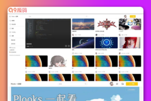 《Plooks视频共享站》：大型在线视频共享网站源码