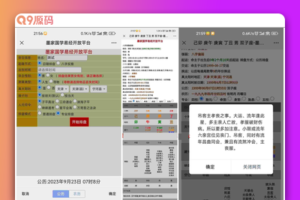 全网首发 九龙道长同款样式八字排盘程序 八字排盘算命源码