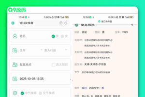 全网首发 墨家金口诀排盘程序 五行风水金口诀排盘源码