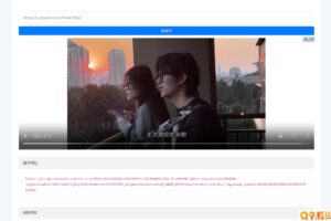 短视频解析接口分发系统