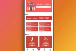 抖音在线点赞任务发布接单运营平台PHP网站源码 多个支付通道/分级会员制度