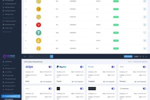 区块链虚拟币代币销售拍卖平台,加密货币全方位数字资产交易平台